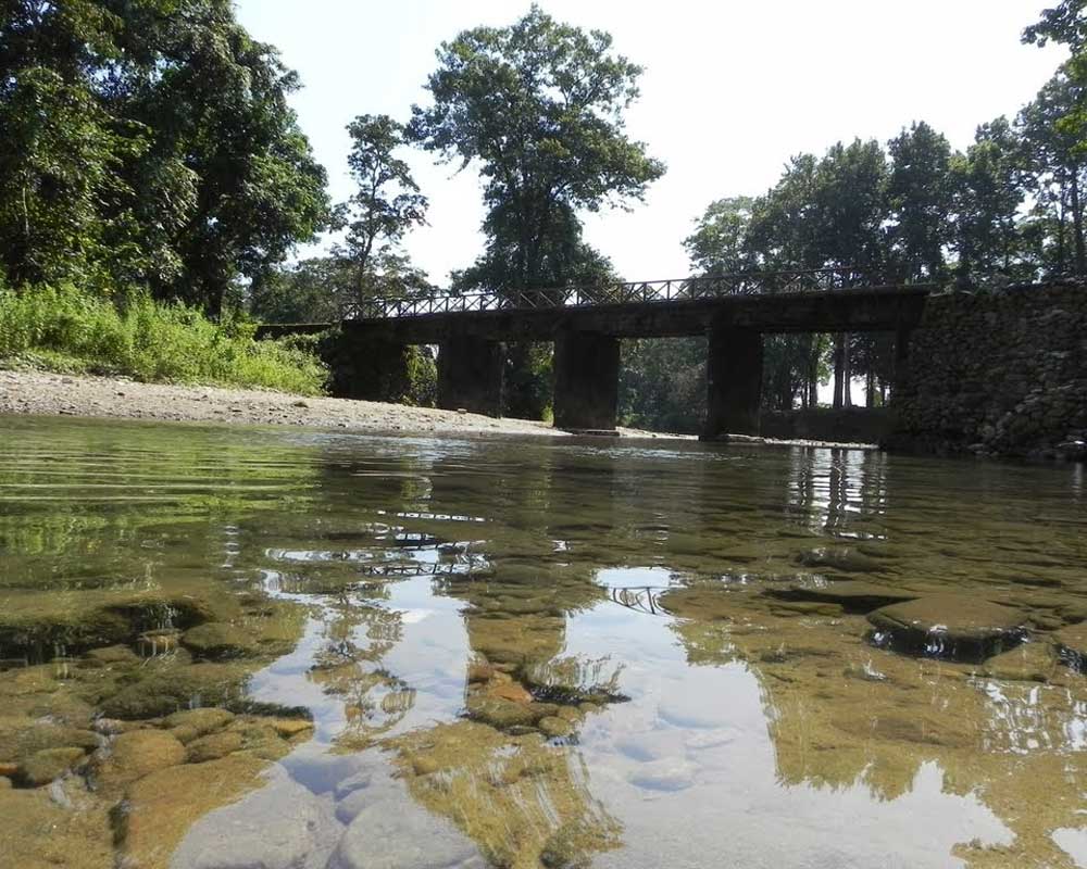 Jaldapara National Park Landscape