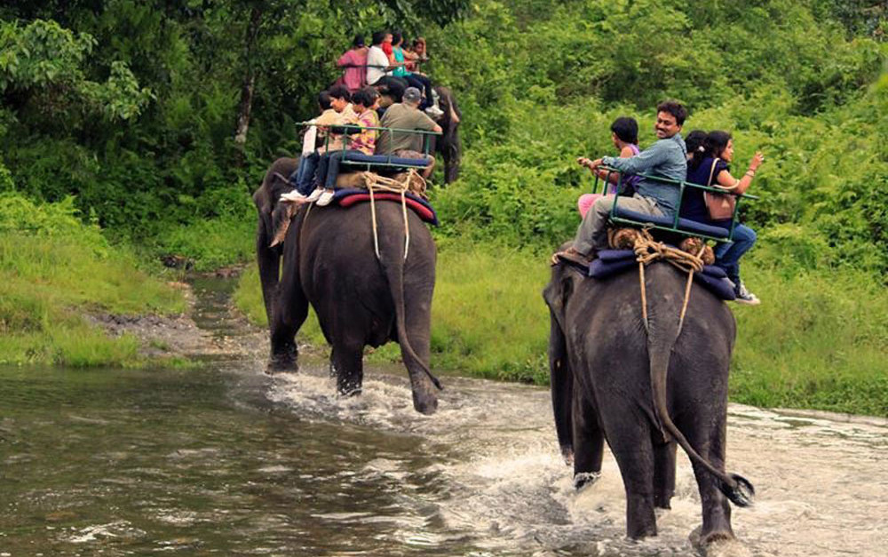 Introduction Jaldapara National Park