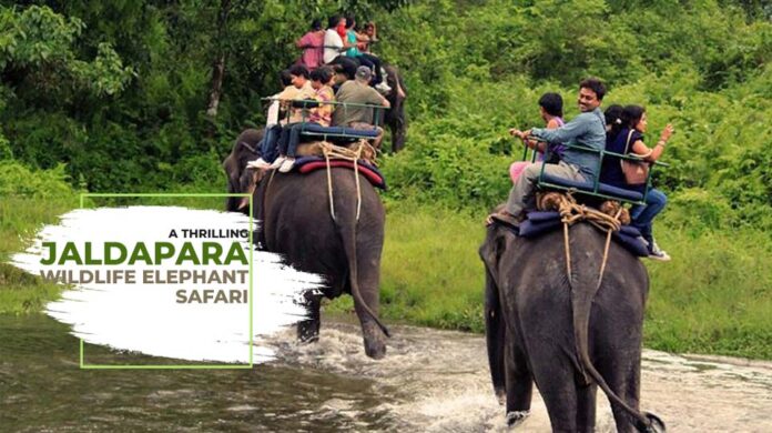 Jaldapara Elephant Safari Ride